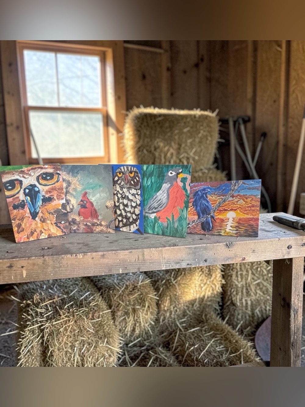 Birds of Wonder Greeting Card Set of 5 by Briefcase Artist